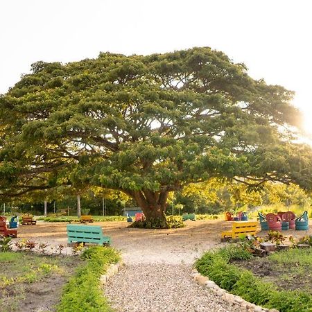 Willa Hacienda La Huerta, Puerto Plata Zewnętrze zdjęcie